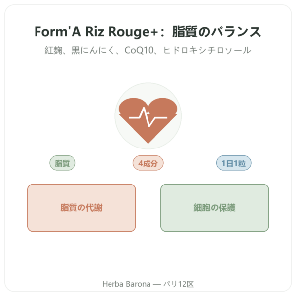 Form’A 紅麹+ Distriform’ 60カプセル – 黒にんにく、Q10 & オリーブ presentation Paris Herba Barona