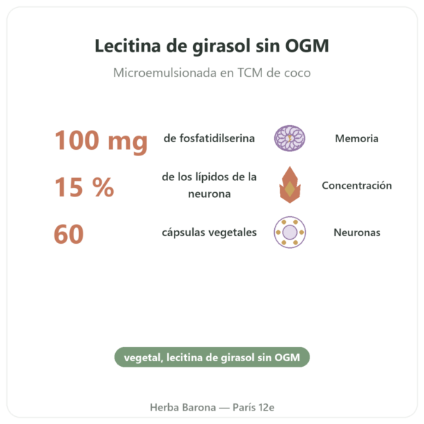 Fosfatidilserina vegetal – Dynveo – 100 mg – 60 cápsulas beneficios y datos clave Paris Herba Barona