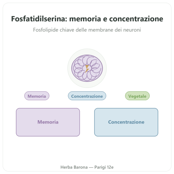 Fosfatidilserina vegetale – Dynveo – 100 mg – 60 capsule presentazione Paris Herba Barona