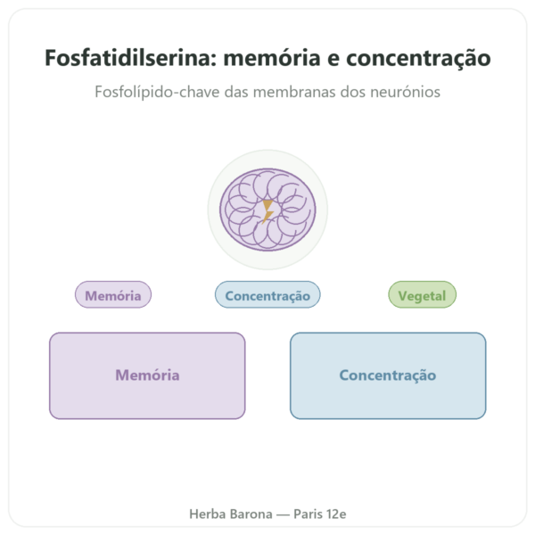 Fosfatidilserina vegetal – Dynveo – 100 mg – 60 cápsulas apresentação Paris Herba Barona