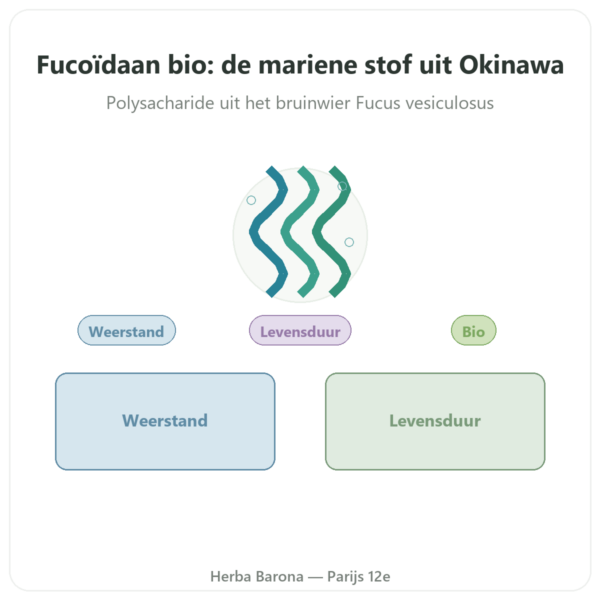 Fucoïdaan BIO Dynveo 250 mg 60 capsules presentatie Paris Herba Barona