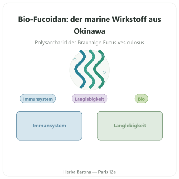 Fucoidan BIO – Dynveo – 250 mg – 60 Kapseln Vorstellung Paris Herba Barona