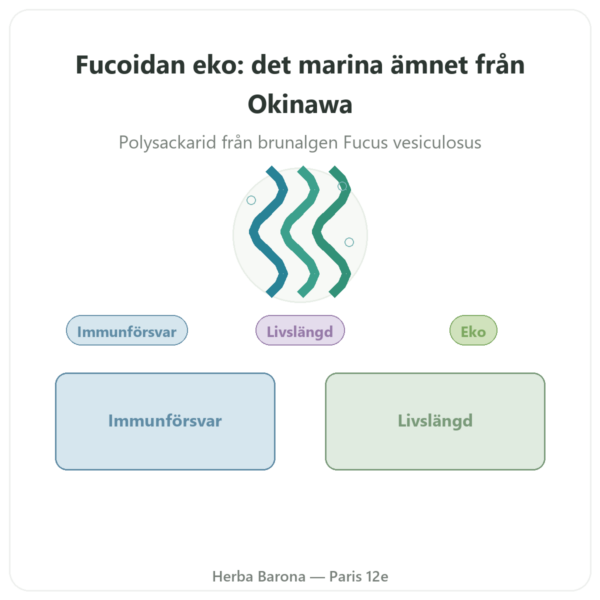 Fucoidan EKO Dynveo 250 mg 60 kapslar presentation Paris Herba Barona