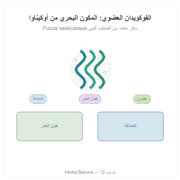 فوكويدان BIO Dynveo 250 ملغ 60 كبسولة عرض المنتج Paris Herba Barona