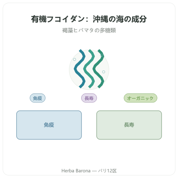 フコイダン BIO Dynveo 250 mg 60カプセル presentation Paris Herba Barona