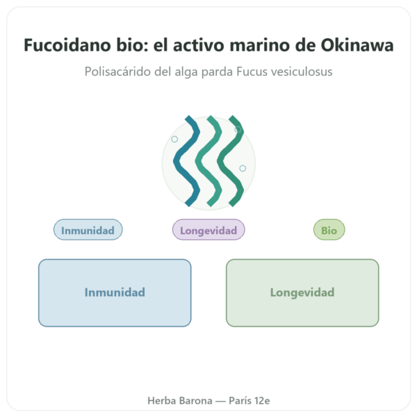 Fucoidano BIO – Dynveo – 250 mg – 60 cápsulas presentación Paris Herba Barona