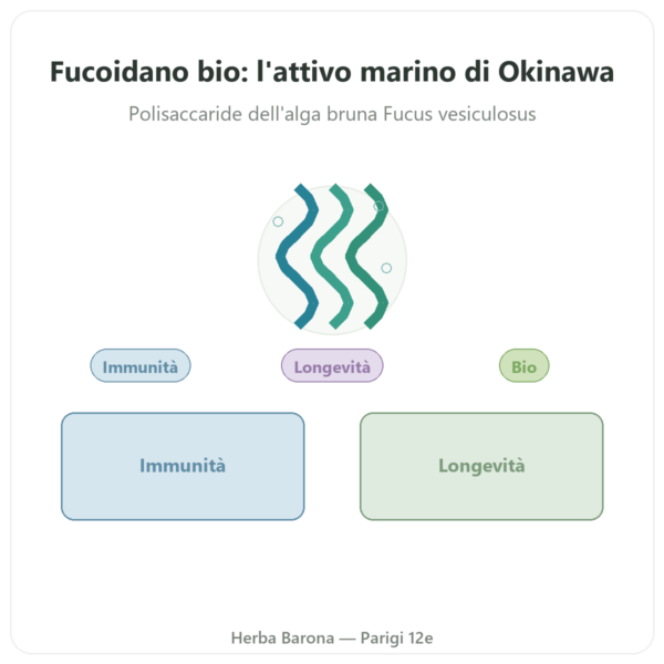 Fucoidano BIO – Dynveo – 250 mg – 60 capsule presentazione Paris Herba Barona