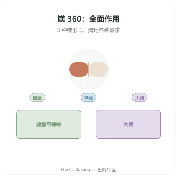 镁 360 复合配方 – Dynveo – 120 粒胶囊 产品展示 Paris Herba Barona