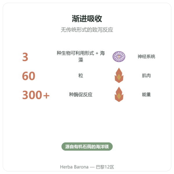 Nutrimuscle 复合镁 – 60粒胶囊 功效与数据 Paris Herba Barona