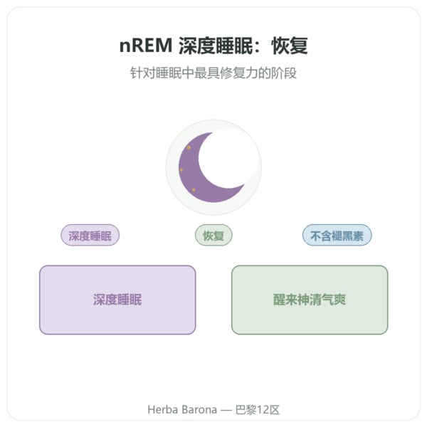 nREM 深度睡眠复合配方 – Dynveo – 60 粒胶囊 产品展示 Paris Herba Barona