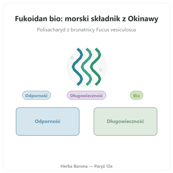 Fukoidan BIO Dynveo 250 mg 60 kapsułek prezentacja Paris Herba Barona