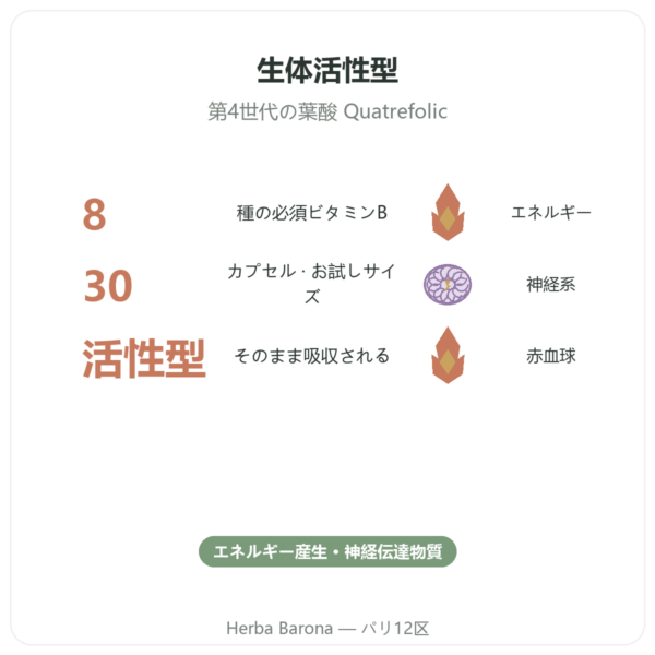 Fully Active B Complex Quatrefolic 30カプセル Doctor's Best benefits and key facts Paris Herba Barona