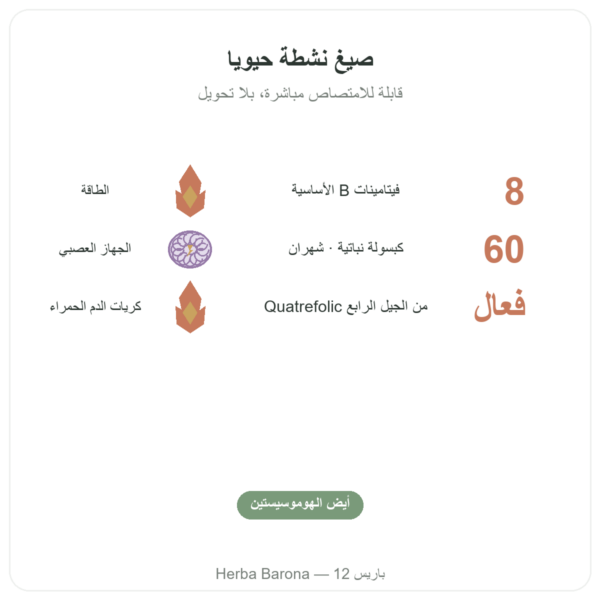 مركّب فيتامينات B النشطة Fully Active B Complex – Quatrefolic – 60 كبسولة – Doctor's Best الفوائد والمعطيات الرئيسية Paris Herba Barona