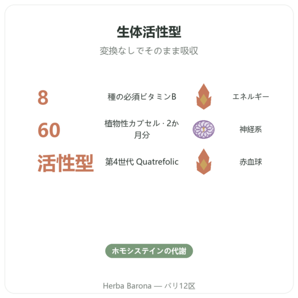 Fully Active B COMPLEX quatrefolic – 60カプセル – Doctor’s Best benefits and key facts Paris Herba Barona