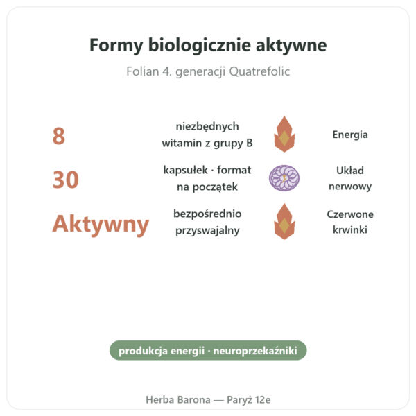 Fully Active B Complex Quatrefolic 30 Kapsułek Doctor's Best korzyści i najważniejsze fakty Paris Herba Barona