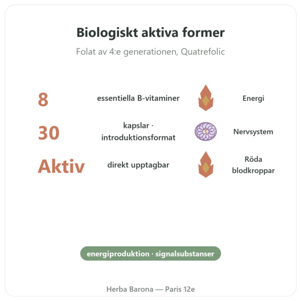 Fully Active B Complex Quatrefolic 30 kapslar Doctor's Best – Köp fördelar och nyckelfakta Paris Herba Barona
