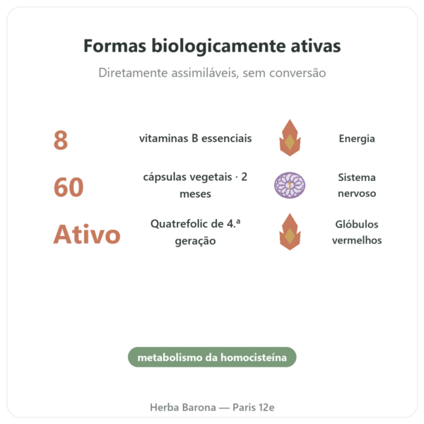 Fully Active B Complex Quatrefolic – 60 Cápsulas – Doctor's Best – Comprar benefícios e dados principais Paris Herba Barona