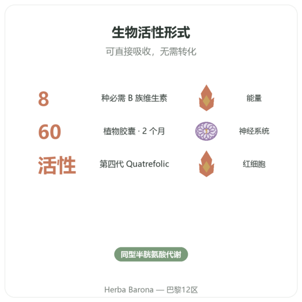 Fully Active B COMPLEX Quatrefolic 活性B族复合维生素 – 60粒胶囊 – Doctor's Best 功效与数据 Paris Herba Barona