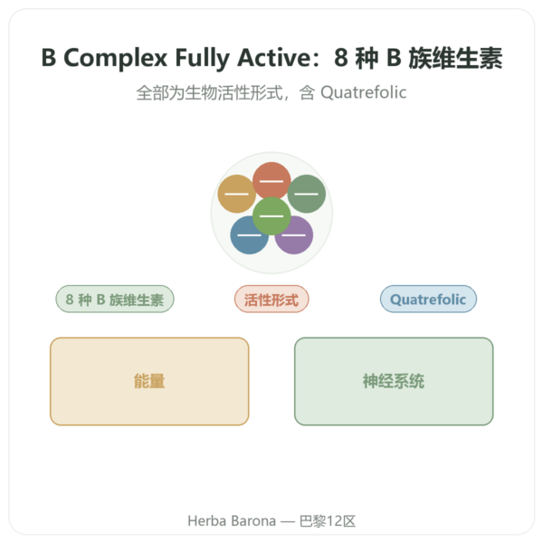 Fully Active B COMPLEX Quatrefolic 活性B族复合维生素 – 60粒胶囊 – Doctor's Best 产品展示 Paris Herba Barona