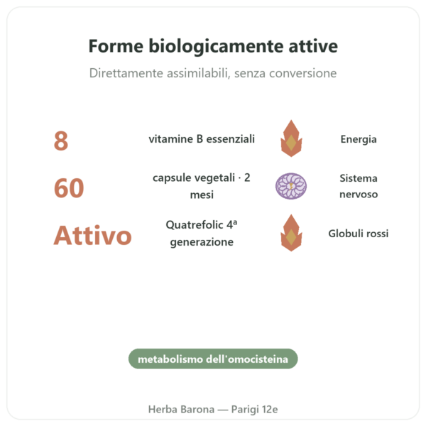 Fully Active B Complex Quatrefolic – 60 Capsule – Doctor's Best benefici e dati chiave Paris Herba Barona