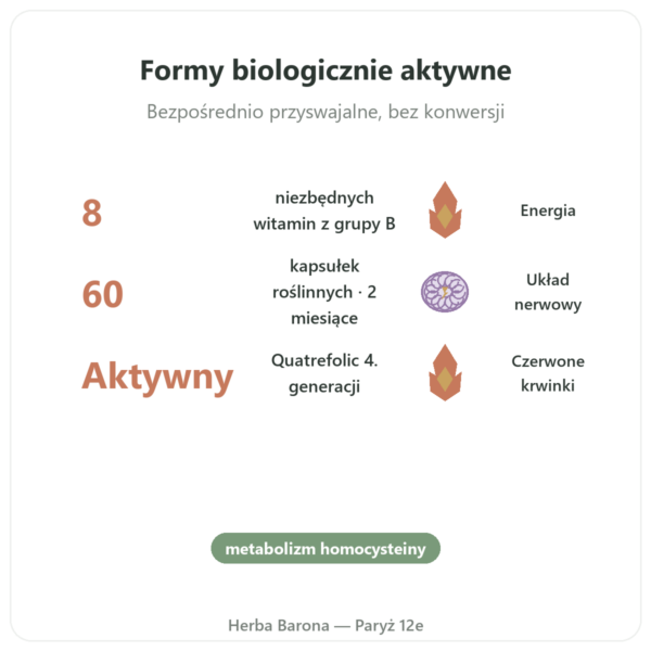 Fully Active B COMPLEX quatrefolic – 60 kapsułek – Doctor's Best korzyści i najważniejsze fakty Paris Herba Barona