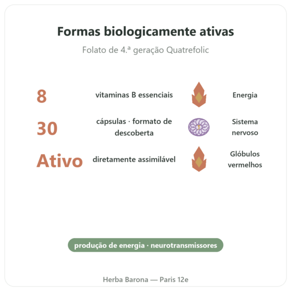 Fully Active B Complex Quatrefolic 30 Cápsulas – Doctor's Best – Comprar benefícios e dados principais Paris Herba Barona