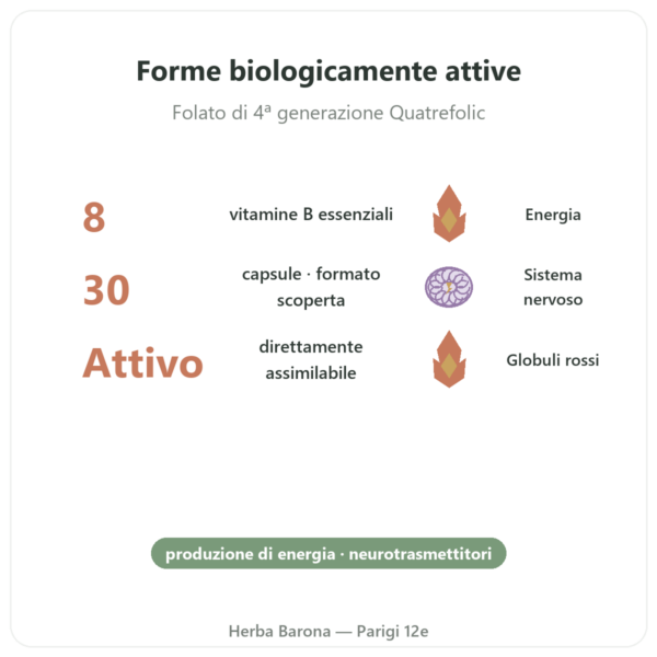 Fully Active B Complex Quatrefolic 30 Capsule Doctor's Best benefici e dati chiave Paris Herba Barona