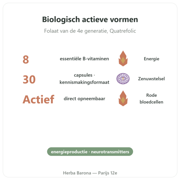Fully Active B Complex Quatrefolic 30 capsules Doctor's Best voordelen en kerngegevens Paris Herba Barona