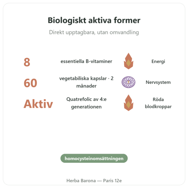 Fully Active B COMPLEX quatrefolic – 60 kapslar – Doctor's Best fördelar och nyckelfakta Paris Herba Barona