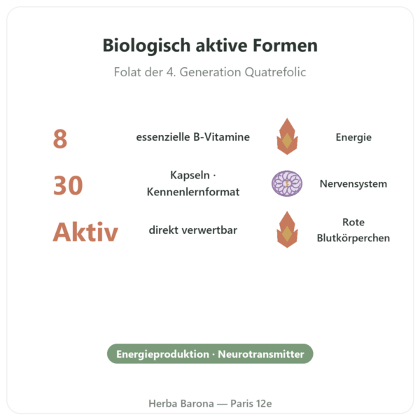 Fully Active B-Komplex Quatrefolic – 30 Kapseln – Doctor's Best Vorteile und Fakten Paris Herba Barona