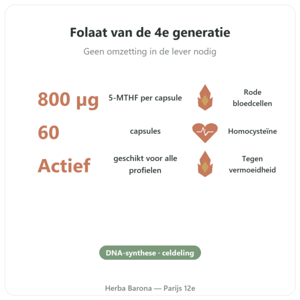 Fully Active Folate 800 mcg – Doctor's Best – 60 capsules voordelen en kerngegevens Paris Herba Barona