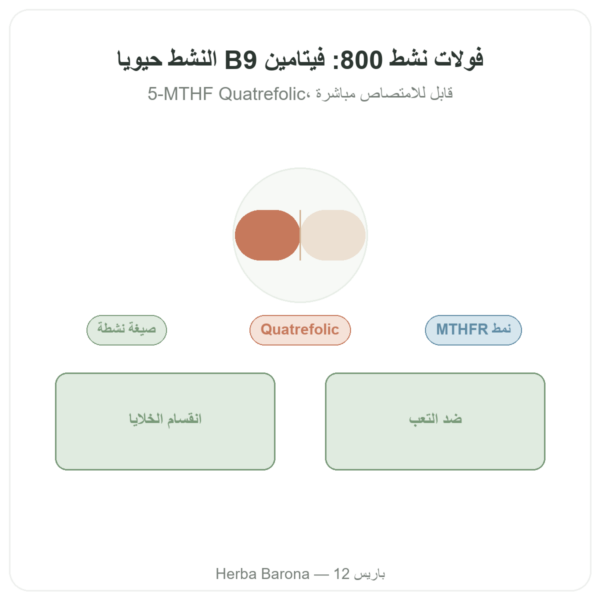 Fully Active Folate 800 مكغ – Doctor's Best – 60 كبسولة عرض المنتج Paris Herba Barona