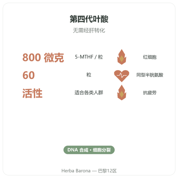 Fully Active Folate 活性叶酸 800微克 – Doctor's Best – 60粒胶囊 功效与数据 Paris Herba Barona