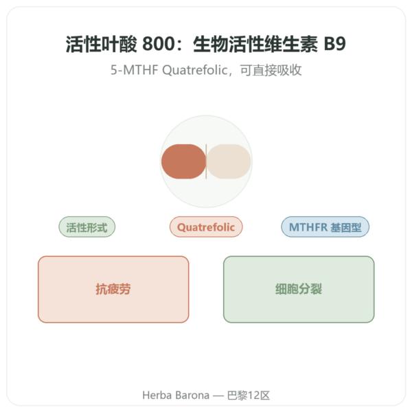 Fully Active Folate 活性叶酸 800微克 – Doctor's Best – 60粒胶囊 产品展示 Paris Herba Barona