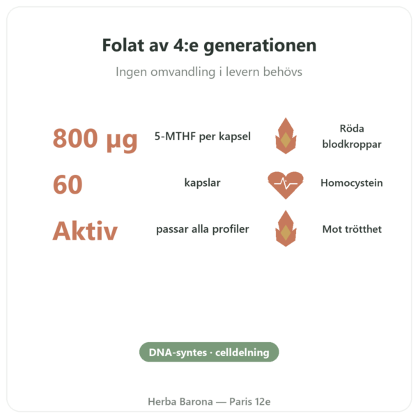 Fully Active Folate 800 mcg – Doctor's Best – 60 kapslar fördelar och nyckelfakta Paris Herba Barona