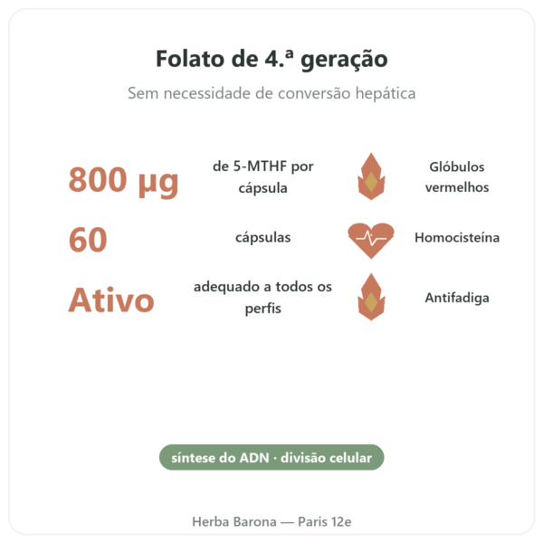 Fully Active Folate 800 mcg – Doctor's Best – 60 cápsulas benefícios e dados principais Paris Herba Barona