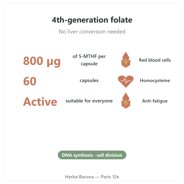 Fully Active Folate 800 mcg – Doctor's Best – 60 Capsules benefits and key facts Paris Herba Barona