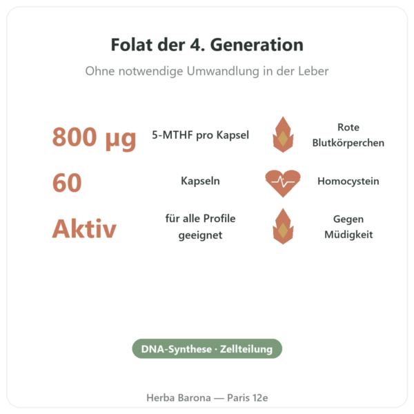 Fully Active Folate 800 mcg – Doctor's Best – 60 Kapseln Vorteile und Fakten Paris Herba Barona