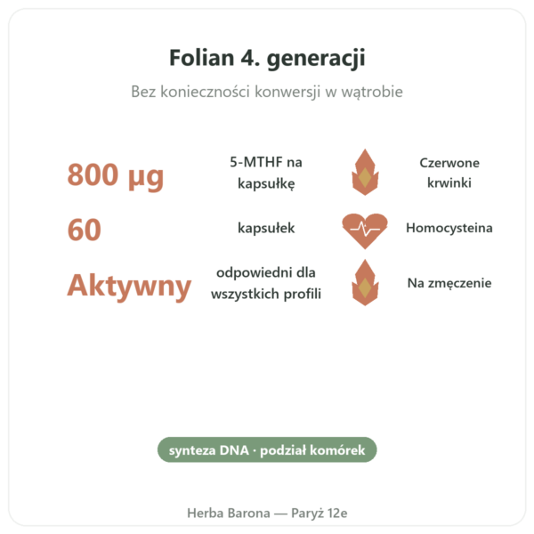 Fully Active Folate 800 mcg – Doctor's Best – 60 kapsułek korzyści i najważniejsze fakty Paris Herba Barona