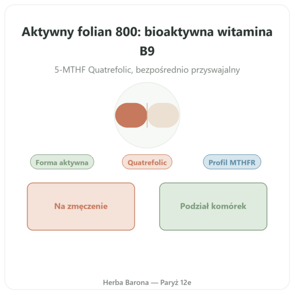 Fully Active Folate 800 mcg – Doctor's Best – 60 kapsułek prezentacja Paris Herba Barona