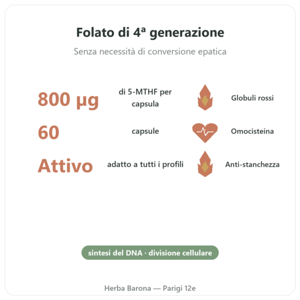 Fully Active Folate 800 mcg – Doctor's Best – 60 Capsule benefici e dati chiave Paris Herba Barona