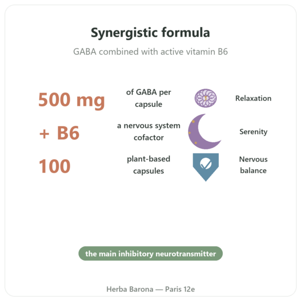 NOW Foods GABA 500mg + Vitamin B-6 – 100 vegetable capsules benefits and key facts Paris Herba Barona