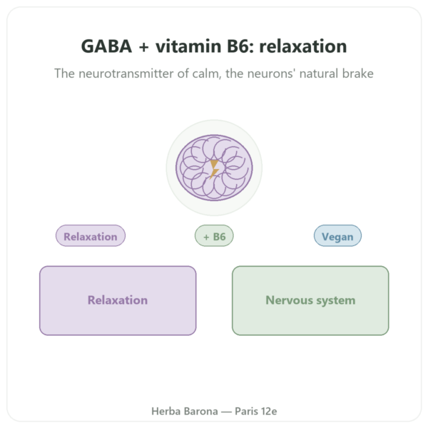 NOW Foods GABA 500mg + Vitamin B-6 – 100 vegetable capsules presentation Paris Herba Barona
