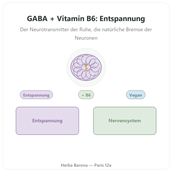 GABA 500 mg + Vitamin B-6 – Now Foods – 100 pflanzliche Kapseln Vorstellung Paris Herba Barona