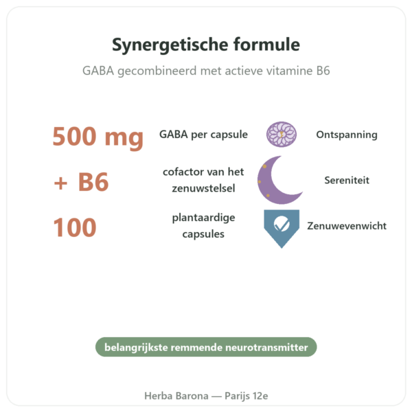 GABA 500mg + Vitamine B6 NOW Foods - 100 capsules voordelen en kerngegevens Paris Herba Barona