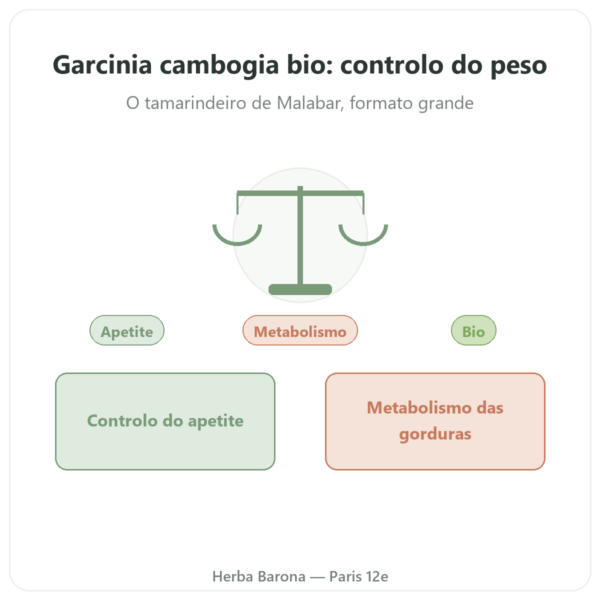 Garcinia cambogia bio (hidroxicitrato) – Dynveo – 300 cápsulas apresentação Paris Herba Barona