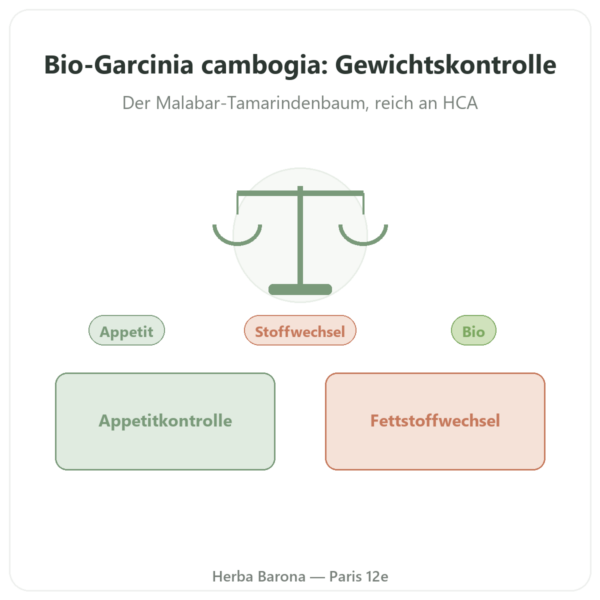 Garcinia Cambogia Bio HCA 60 % – Dynveo – 90 Kapseln Vorstellung Paris Herba Barona