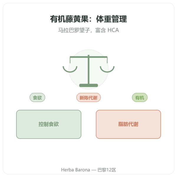 有机藤黄果(羟基柠檬酸 HCA)– Dynveo – 90 粒胶囊 产品展示 Paris Herba Barona