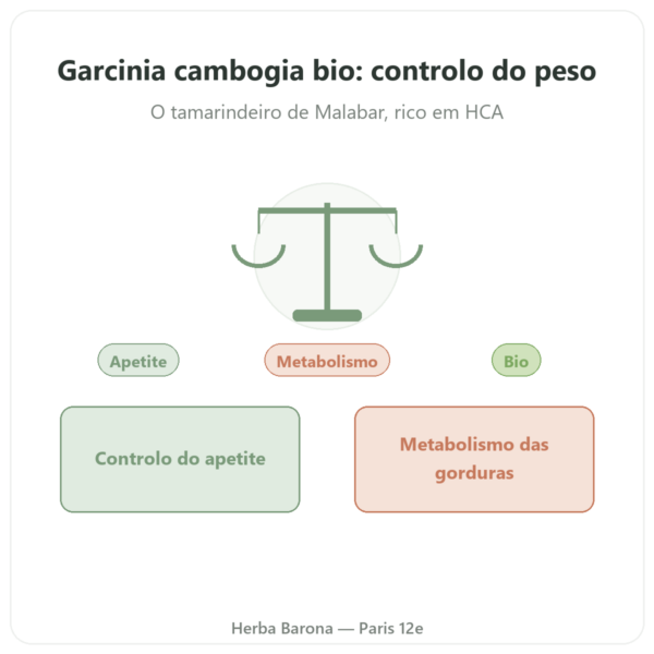 Garcinia cambogia bio (ácido hidroxicítrico) – Dynveo – 90 cápsulas apresentação Paris Herba Barona
