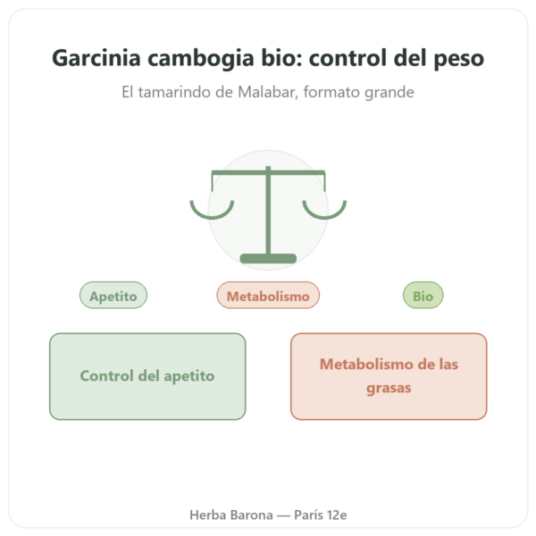 Garcinia cambogia BIO (hidroxicitrato) – Dynveo – 300 cápsulas presentación Paris Herba Barona